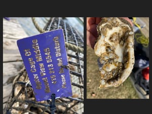 2023 green school app final (5)